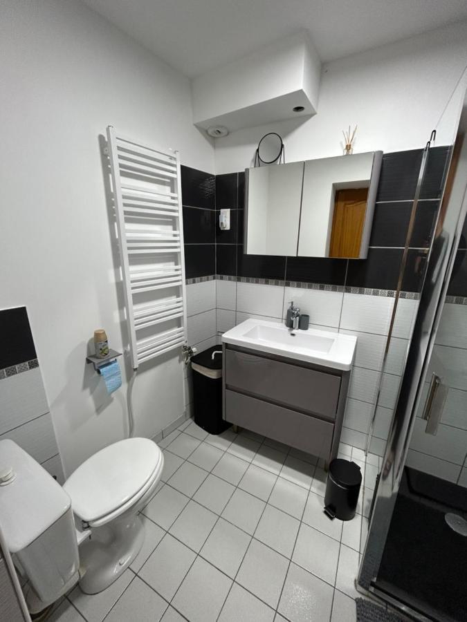 Appartement Hyper Centre Diamerisma Charleville-Mézières エクステリア 写真